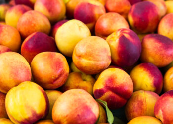 Stone fruit