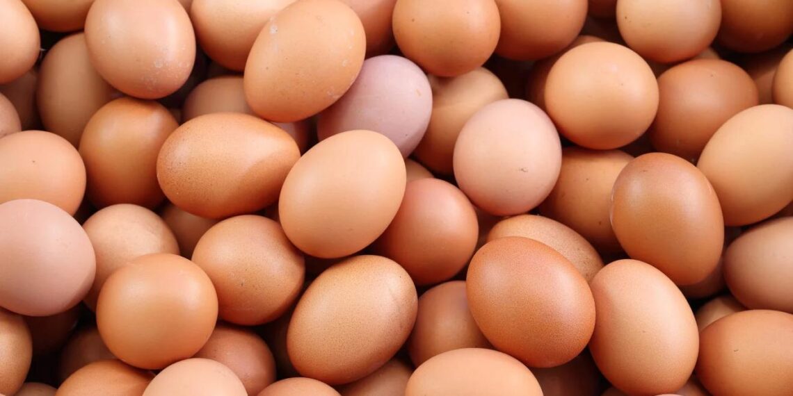 Lesotho’s ministry of agriculture, nutrition and food security says it is taking a bold and strategic step toward revitalising the country’s struggling agricultural sector by banning certain imports. Photo: Supplied/Food For Mzansi