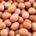 Lesotho bans key food imports to boost local farming