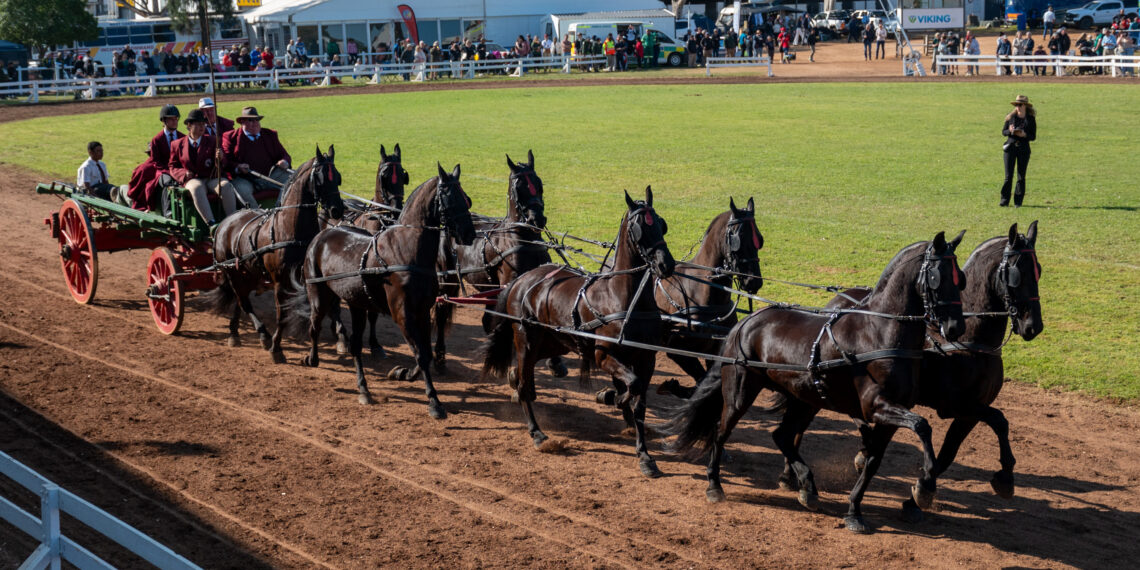 Swartland Show celebrates four days of farming pride, entertainment and country hospitality. Photo: Supplied/Swartland Show