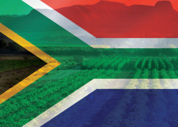 As South Africa celebrates Heritage Day, farmers across the country reflect on the deep connection between their heritage and their land. Photo: Supplied/Food For Mzansi