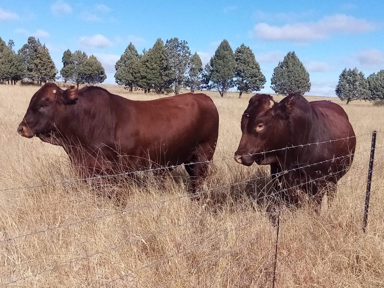 This week's agri events: 12 – 16 October