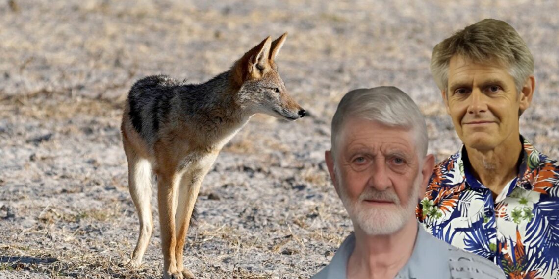 Emeritus Professor Leon Hugo and postgraduate student Jean Hugo tackle the issue of predator control in livestock farming. Photo: Food For Mzansi