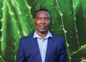 Unlocking modern markets for traditional healers
