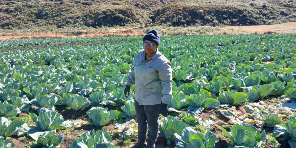 Nosipho Memani from the Eastern Cape went from unemployment to studying agriculture and launching her own farm. Photo: Supplied/Food For Mzansi