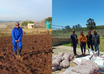 Taleni Farmers Co-op grows hope in rural Eastern Cape