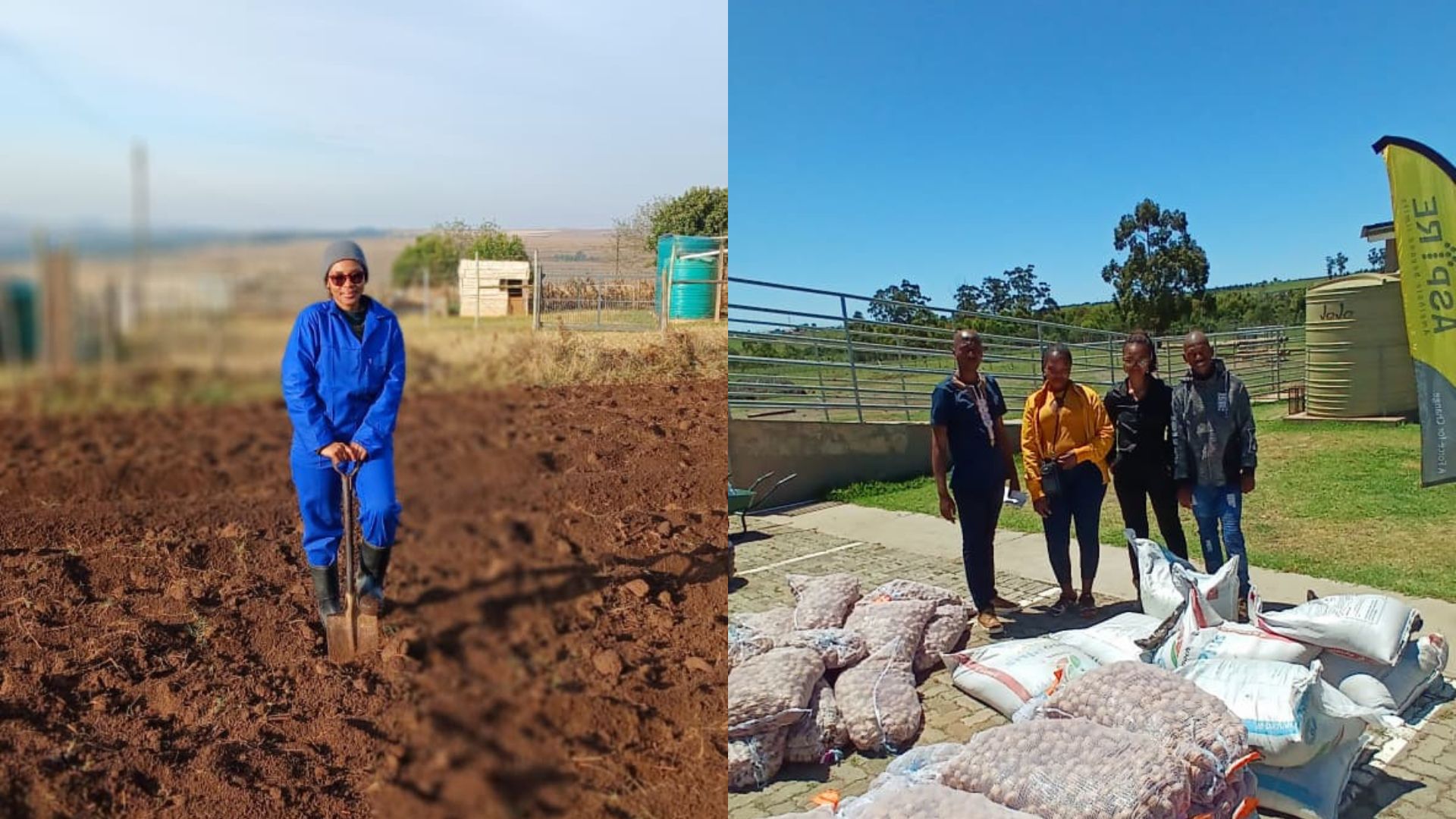 Taleni Farmers Co-op grows hope in rural Eastern Cape - Food For Mzansi