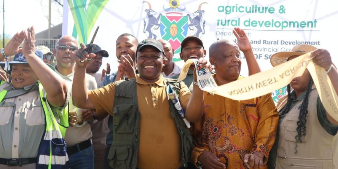 In Taung, the North West department of agriculture and rural development held an agricultural show that brought together farmers and stakeholders.
Photo: Supplied/Food For Mzansi