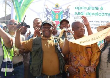 In Taung, the North West department of agriculture and rural development held an agricultural show that brought together farmers and stakeholders.
Photo: Supplied/Food For Mzansi