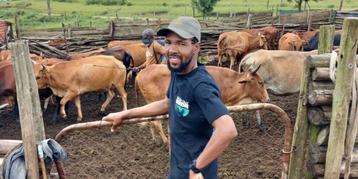 Anda Zaku farms with crops and livestock in Dutywa, Eastern Cape
Photo: Supplied/Food For Mzansi