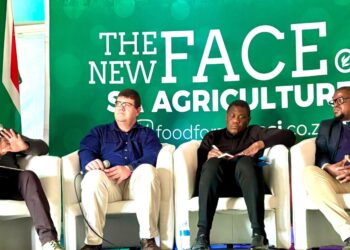 Deputy President Paul Mashatile (third from the left) joined industry leaders at Nampo Cape to discuss key agricultural priorities. He is pictured with Land Bank CEO Themba Rikhotso, Agri SA president Jaco Minnaar, and Jeremia Mathebula, Grain SA vice-chairman. Photo: Supplied/Land Bank