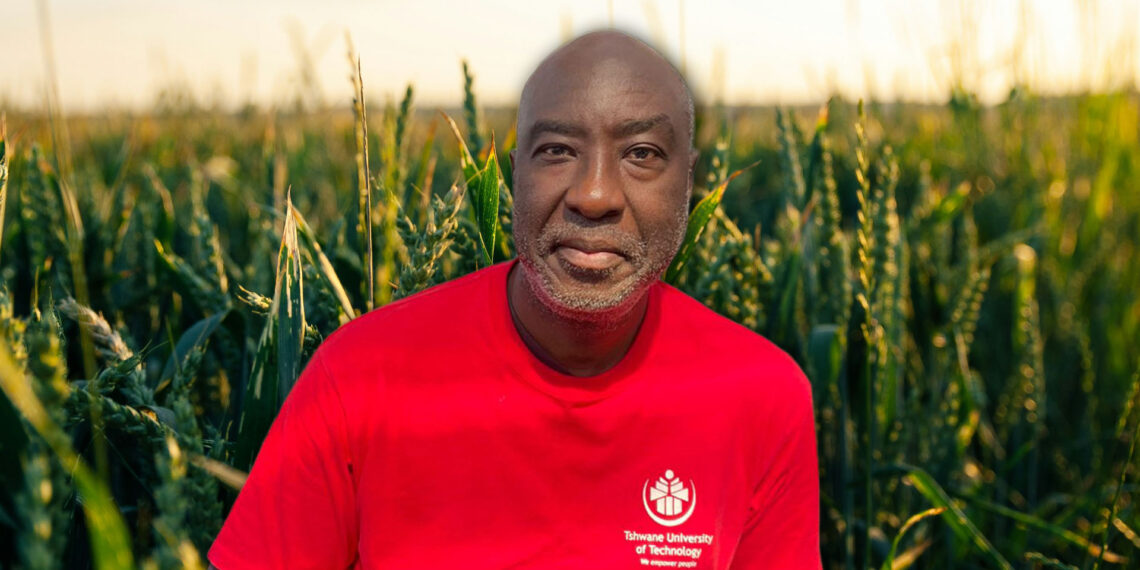 Professor David Katerere of Tshwane University of Technology says indigenous crops such as sorghum and millet can absorb significant carbon from the soil, improving its health and helping fight climate change. Photo: Gareth Davies/Food For Mzansi