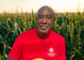 Professor David Katerere of Tshwane University of Technology says indigenous crops such as sorghum and millet can absorb significant carbon from the soil, improving its health and helping fight climate change. Photo: Gareth Davies/Food For Mzansi