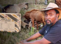 Voermol’s Game Block (V13408) is helping Sizwe Thusi secure a more sustainable future. Photo: Gareth Davies/Food For Mzansi