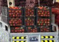 Farmers supplying fresh produce markets such as Joburg Market must follow strict guidelines on compliance, packaging, transport, registration, and quality to ensure food safety and fair trade. Photo: Pexels