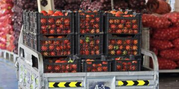 Farmers supplying fresh produce markets such as Joburg Market must follow strict guidelines on compliance, packaging, transport, registration, and quality to ensure food safety and fair trade. Photo: Pexels