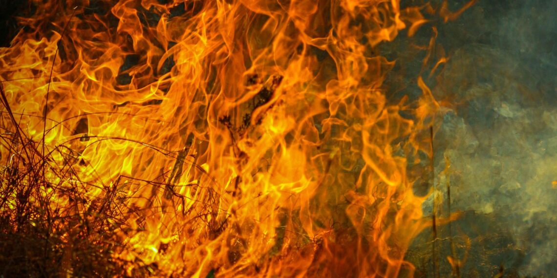 Farmers are urged to strengthen their fire resilience through training, legal awareness, and insurance, as proactive planning proves the best defence against devastating losses. Photo: Pexels