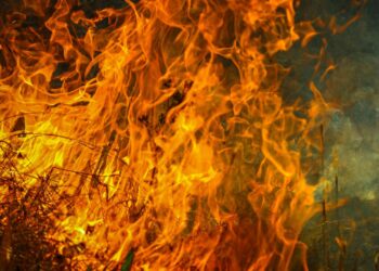 Farmers are urged to strengthen their fire resilience through training, legal awareness, and insurance, as proactive planning proves the best defence against devastating losses. Photo: Pexels