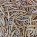 South Africa’s dry bean industry offers growing opportunities for farmers. Photo: Pexels