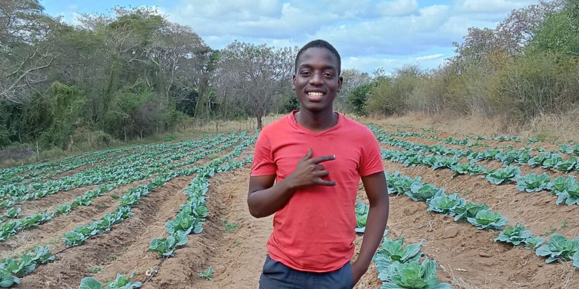 Seventeen-year-old Kgothalo Manchete is set to harvest 400 cabbages for nearby communities and plans to expand into beetroot farming. Photo: Supplied/Food For Mzansi