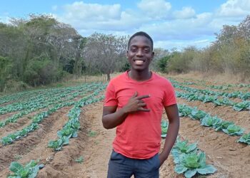 Seventeen-year-old Kgothalo Manchete is set to harvest 400 cabbages for nearby communities and plans to expand into beetroot farming. Photo: Supplied/Food For Mzansi