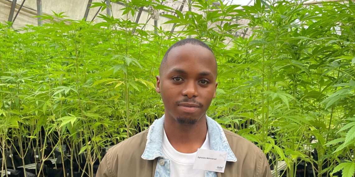 Young farmer Sphelele Mkhwanazi is transforming his family’s KwaZulu-Natal farm into a hemp enterprise, driven by purpose, innovation, and a vision to build a sustainable future for rural communities. Photo: Supplied/Food For Mzansi