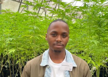 Young farmer Sphelele Mkhwanazi is transforming his family’s KwaZulu-Natal farm into a hemp enterprise, driven by purpose, innovation, and a vision to build a sustainable future for rural communities. Photo: Supplied/Food For Mzansi