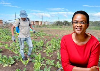Dr Langa Simela is the business development manager at Absa AgriBusiness. Photo: Food For Mzansi