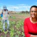 How to bridge the ‘missing middle’ in agri-finance