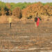 Workers, families devastated as fire destroys CPA farm