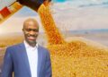 Buhlebemvelo Dube is an economist for trade research at the National Agricultural Marketing Council (NAMC). Photo: Food For Mzansi