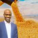Buhlebemvelo Dube is an economist for trade research at the National Agricultural Marketing Council (NAMC). Photo: Food For Mzansi