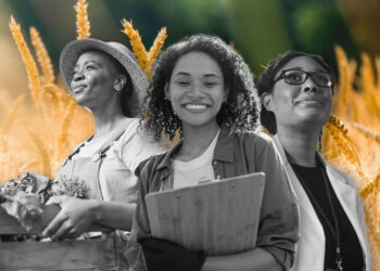 Rising female graduation rates signal a more balanced future for South African agriculture. However, persistent gender pay gaps and role concentration threaten progress. Photo: Gareth Davies/Food For Mzansi