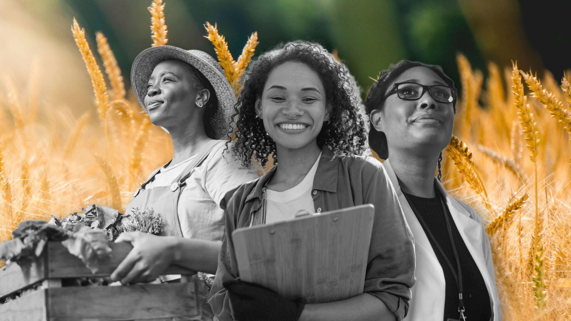 Women gain ground in agri careers, but pay gaps remain