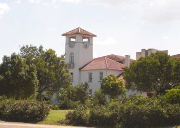 Hundreds of University of Fort Hare agriculture students face a bleak future after discovering their animal science and agricultural economics qualifications are allegedly unregistered with SAQA and the CHE, or were changed without consent. Photo: Supplied/Food For Mzansi
