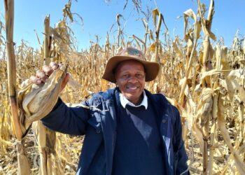 Hlalele Joseph Khahleli turned his passion for farming into a thriving mixed farming enterprise in the Free State. Photo: Supplied/Food For Mzansi