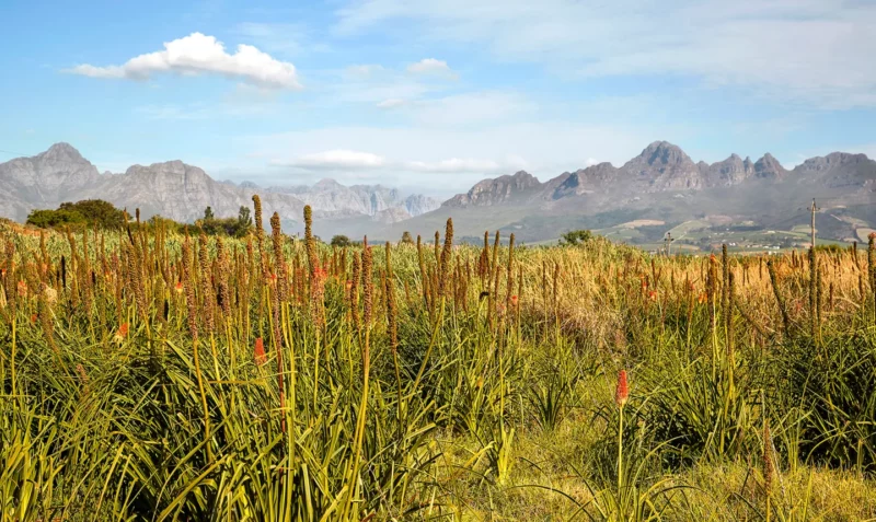 Regenerative farming