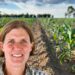 Mastering seed germination: The key to a strong maize harvest