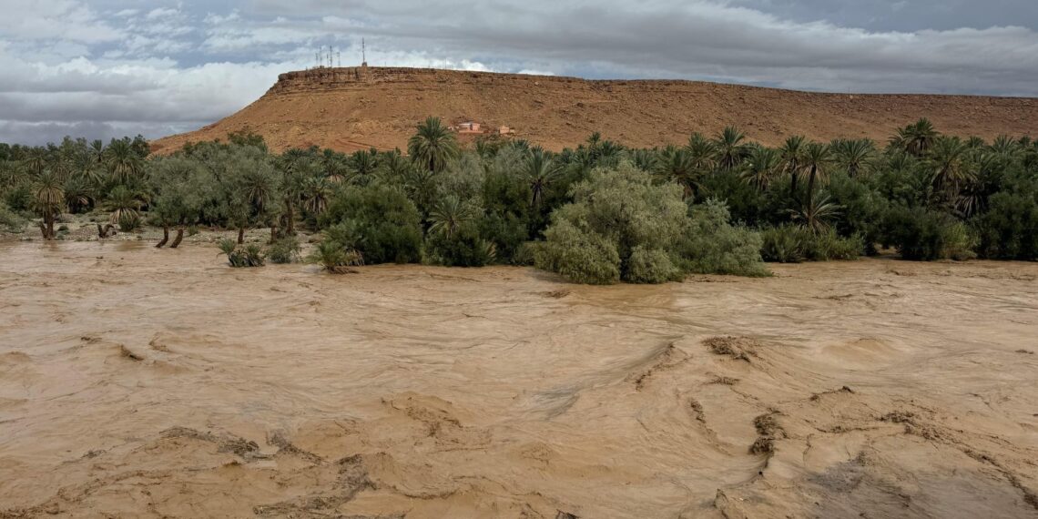 Experts warn that South African farmers must prepare for a summer of climate extremes, from above-normal rainfall and flood risks in the east to intense heatwaves and drought in central and western regions. Photo: Pexels