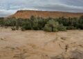 Experts warn that South African farmers must prepare for a summer of climate extremes, from above-normal rainfall and flood risks in the east to intense heatwaves and drought in central and western regions. Photo: Pexels