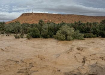 Experts warn that South African farmers must prepare for a summer of climate extremes, from above-normal rainfall and flood risks in the east to intense heatwaves and drought in central and western regions. Photo: Pexels