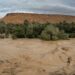 Experts warn that South African farmers must prepare for a summer of climate extremes, from above-normal rainfall and flood risks in the east to intense heatwaves and drought in central and western regions. Photo: Pexels