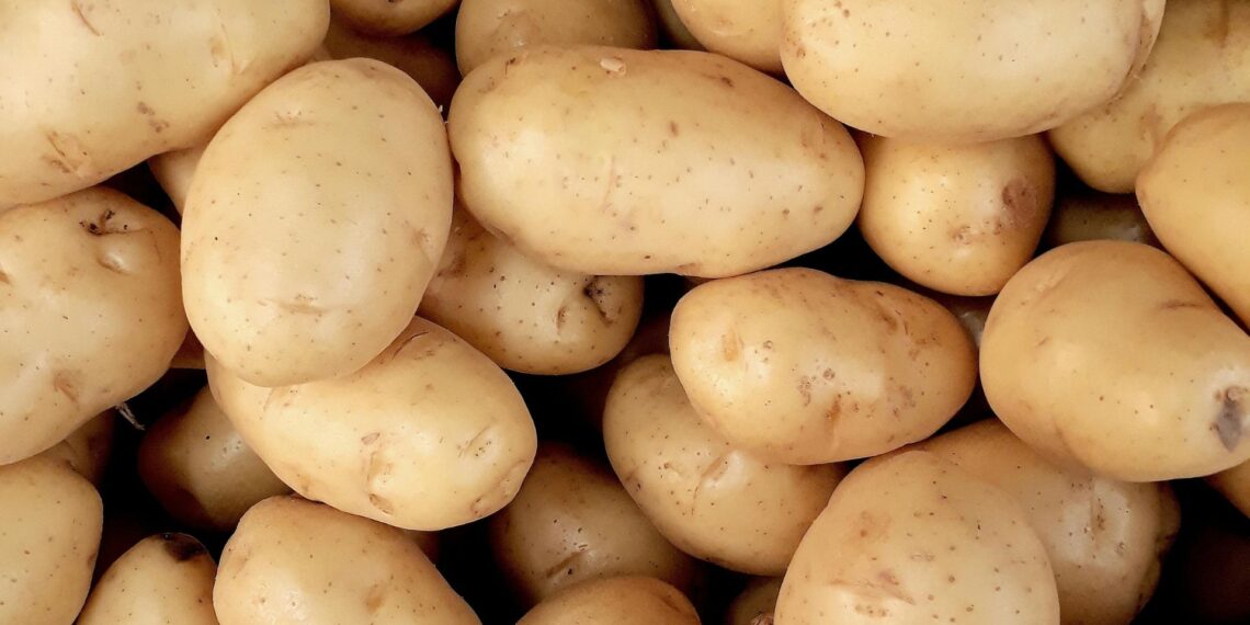 Potatoes SA’s school nutrition trial shows how nutrient-dense, locally grown potatoes can help combat childhood hunger and boost learners’ focus and well-being through stronger public-private collaboration. Photo: Pexels