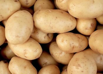 Potatoes SA’s school nutrition trial shows how nutrient-dense, locally grown potatoes can help combat childhood hunger and boost learners’ focus and well-being through stronger public-private collaboration. Photo: Pexels
