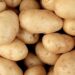 Potatoes SA’s school nutrition trial shows how nutrient-dense, locally grown potatoes can help combat childhood hunger and boost learners’ focus and well-being through stronger public-private collaboration. Photo: Pexels