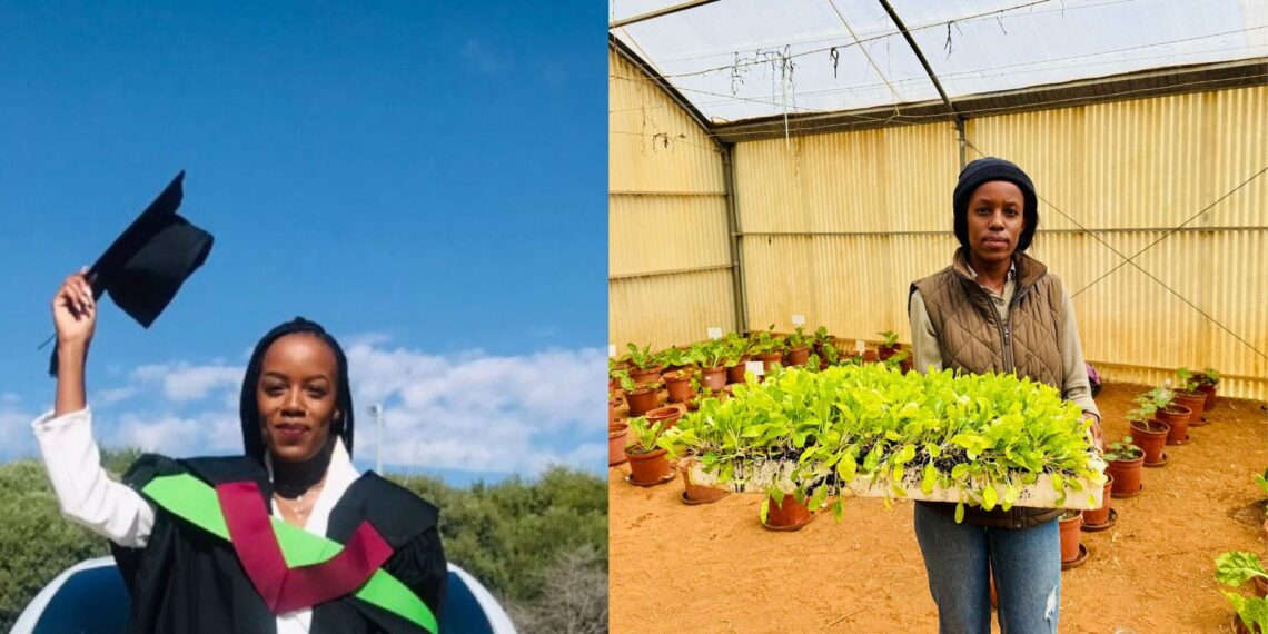 Agronomist Mandisa Mazibuko is conducting vital research on using poultry manure and identifying drought-resilient maize cultivars for South African farmers. Photos: Supplied/Food For Mzansi