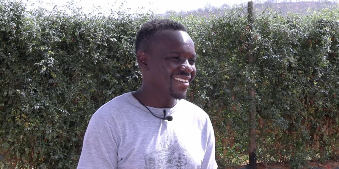 From humble beginnings to managing a 504-hectare enterprise, Limpopo farmer Craig Mashimbye embodies resilience and passion, growing a farm that sustains his family, supports his community. Photo: Supplied/Food For Mzansi