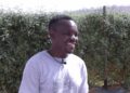 From humble beginnings to managing a 504-hectare enterprise, Limpopo farmer Craig Mashimbye embodies resilience and passion, growing a farm that sustains his family, supports his community. Photo: Supplied/Food For Mzansi