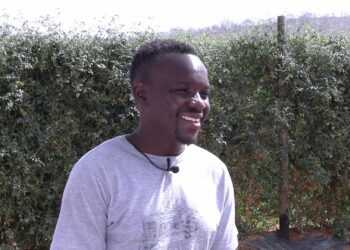From humble beginnings to managing a 504-hectare enterprise, Limpopo farmer Craig Mashimbye embodies resilience and passion, growing a farm that sustains his family, supports his community. Photo: Supplied/Food For Mzansi