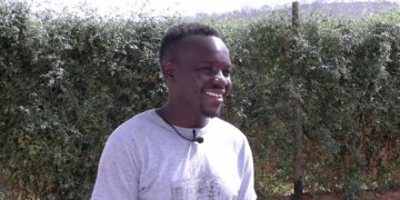 From humble beginnings to managing a 504-hectare enterprise, Limpopo farmer Craig Mashimbye embodies resilience and passion, growing a farm that sustains his family, supports his community. Photo: Supplied/Food For Mzansi